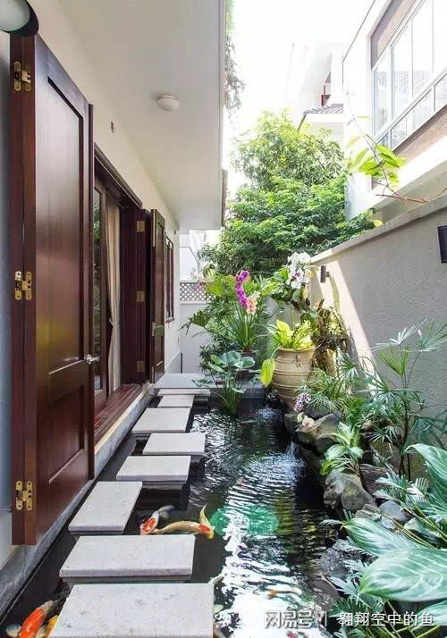 庭院鱼池水变绿？掌握水质管理技巧