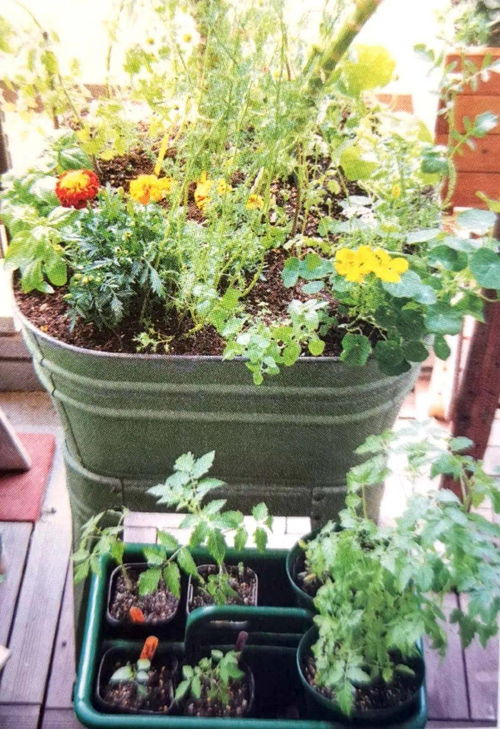 混种大法， 双管齐下