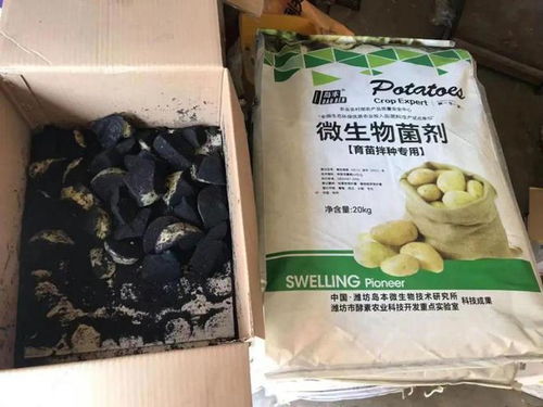 拌种剂与农药残留