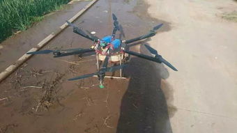 价格波动：不同农药， 不同价