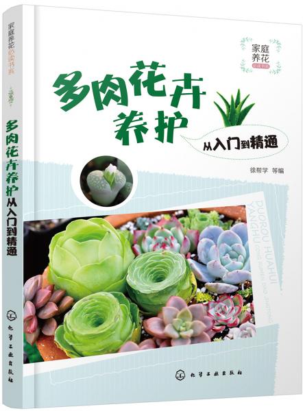 养花入门：如何从养花小白变成养花达人