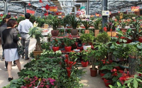 价格对比表（2025年秋）