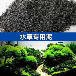 水草泥还是陶粒？养水草