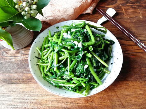 鹅肠菜叶绿茎粗，口感脆嫩