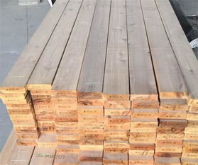 雪松木与香樟木：防虫之战，谁将胜出？