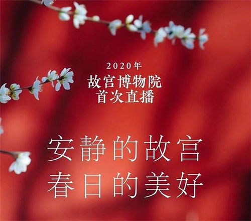 五种易活品种， 新手也嫩种