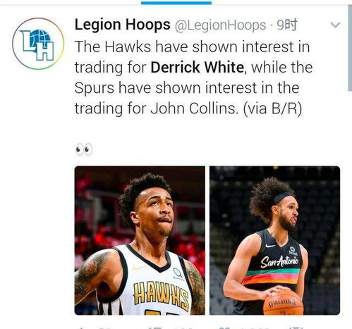 意篮甲维迪维西队崛起，关键数据如何揭示其成为黑马的？