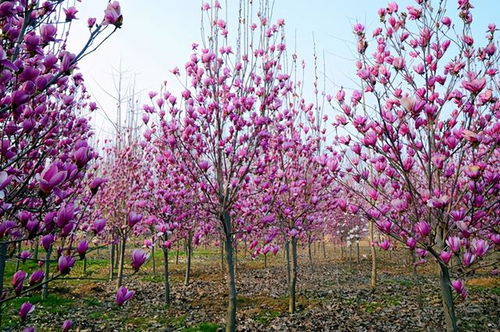 科技创新：提升产业竞争力