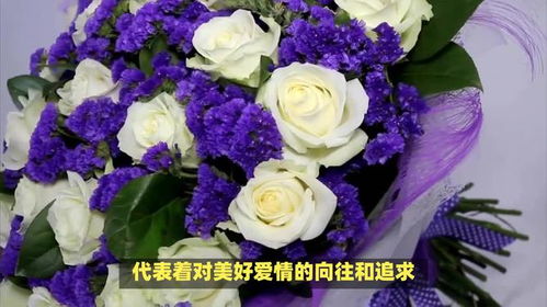 紫罗兰花语：神秘、高贵