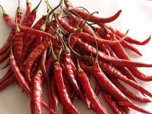 二荆条辣椒作为川菜之魂，其特色种植密码是什么