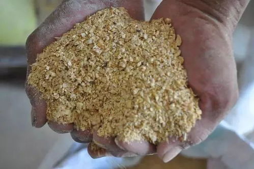 广西饲料用鱼粉价格波动对饲料行业未来发展前景有何影响？