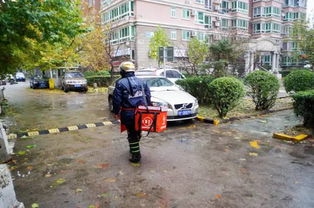 长沙小区物业偏爱的草种耐踩性如何？