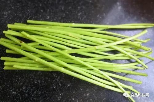 蒌蒿是什么植物？怎么做才能让它好吃