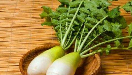 种植方法大揭秘