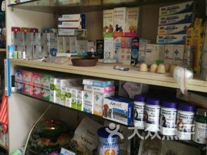 宠物店：宠物用品的聚集地