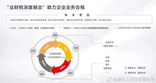 高效养殖鹅指南：掌握销路策略，提升市场竞争力