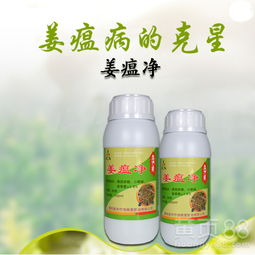 姜瘟青，杀菌好手