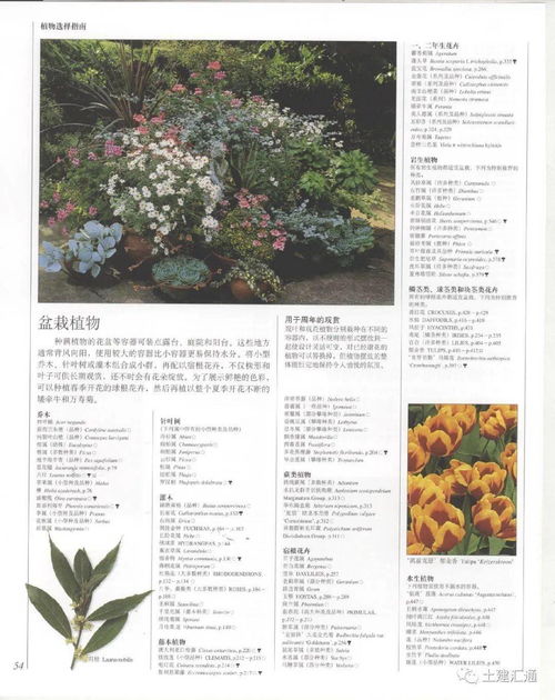 植物百科全书怎么选？实用小技巧
