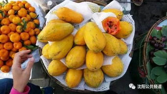 木瓜的美味食谱