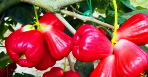 精准打击，后来啊率up up！