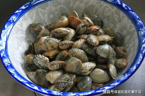 花甲加一物，快速吐沙