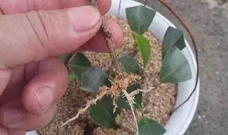 三大作死操作，得避免