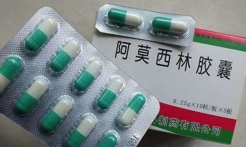 阿莫西林养猪消炎药如何对症配伍禁忌？