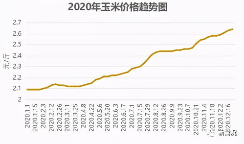玉米价格翻倍饲料成本翻番，如何三招降本40%应对？