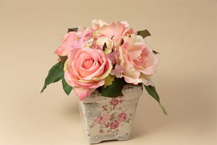 懒人花卉：生活空间的绿色点缀