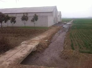 未来十年，中国养猪业将迎来农业养殖新变革