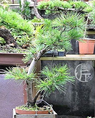 养护口诀， 一定要记住