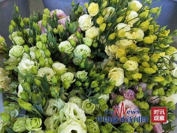 挑战与机遇：云花现状分析