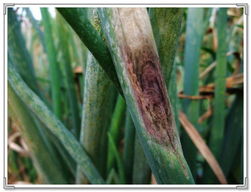 注意细节， 防范为主