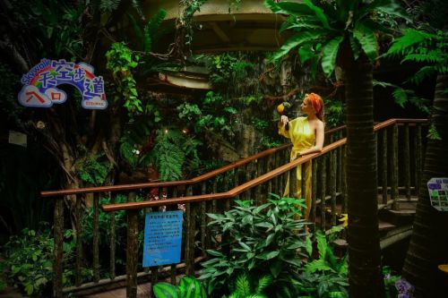 暴雨烂根：洪崖洞商户的“呼吸花盆”绝招