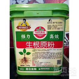 哔唑醚菌酯对花生根腐病有防治效果吗？