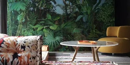 院子里种凤尾竹指南：打造完美绿意空间