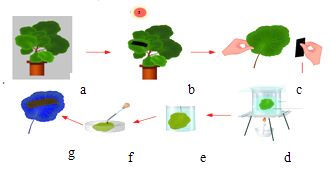 社区交流， 一起学习