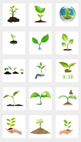 种子如何破土而出？图片揭秘植物发芽全过程
