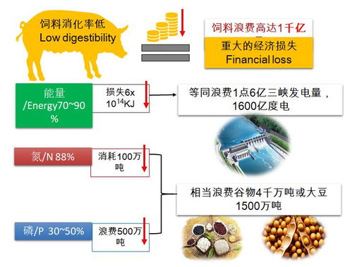 饲料用植酸酶在饲料行业中如何提高动物消化率和降低磷排放？