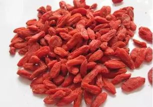 4. 枸杞苗：滋阴明目的良药