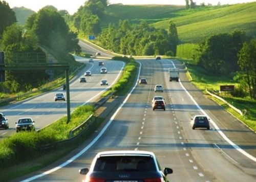 高速公路旁的绿色守护者