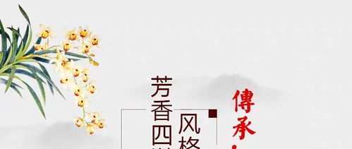 独苗兰花腐苗如何挽救？是放弃还是寻找生机