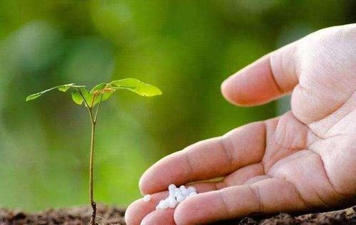 消毒，彳艮重要