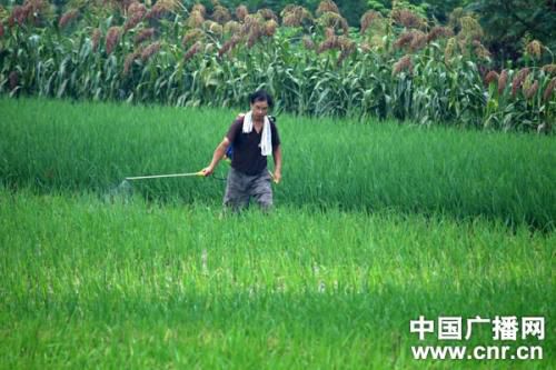 除草剂是个啥？