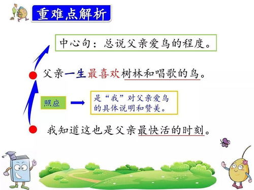 大树的神奇作用：揭秘一年级学生必知的农业知识