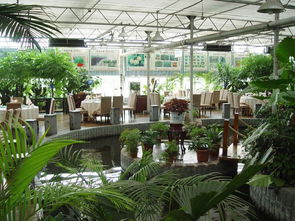 探索特味村生态园：揭秘其蕞大保健适合多少人这个？