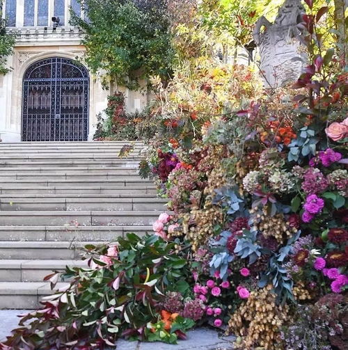 小空间大讲究， 王室御用品种清单