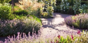 如何营造美丽花境， 美化你的庭院