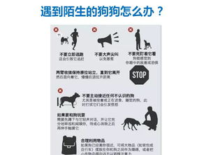 疫苗免疫并非万无一失！揭秘导致免疫失败的7个隐藏原因