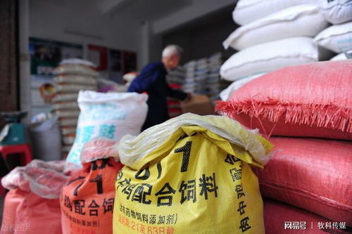 饲料多少钱一斤，豆油价格多少钱一斤，两者搭配喂养成本是多少？